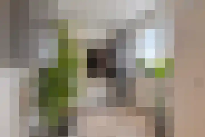 Heernisseweg 80 Goes thumbnail 8
