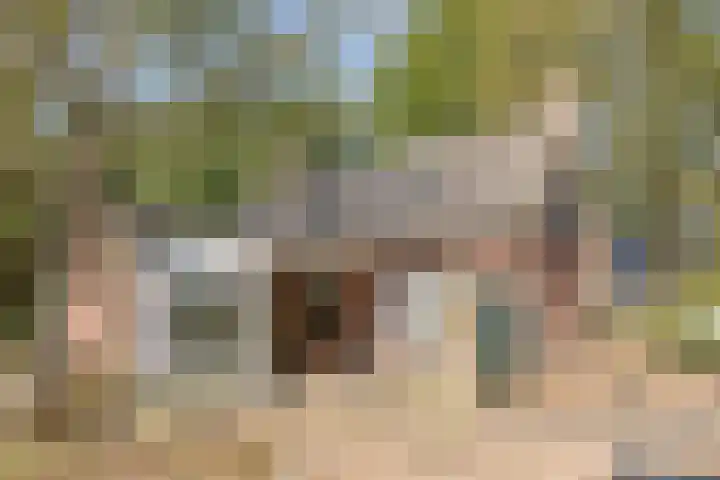 Heers 19 Veldhoven thumbnail 27