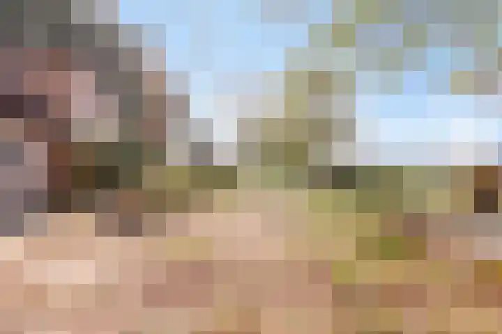 Heers 19 Veldhoven thumbnail 29