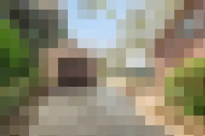 Heers 19 Veldhoven thumbnail 31