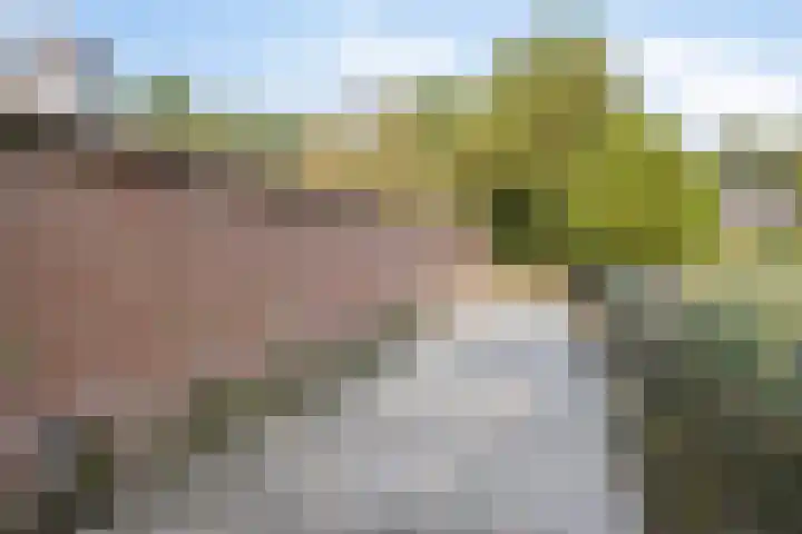 Heers 19 Veldhoven thumbnail 43