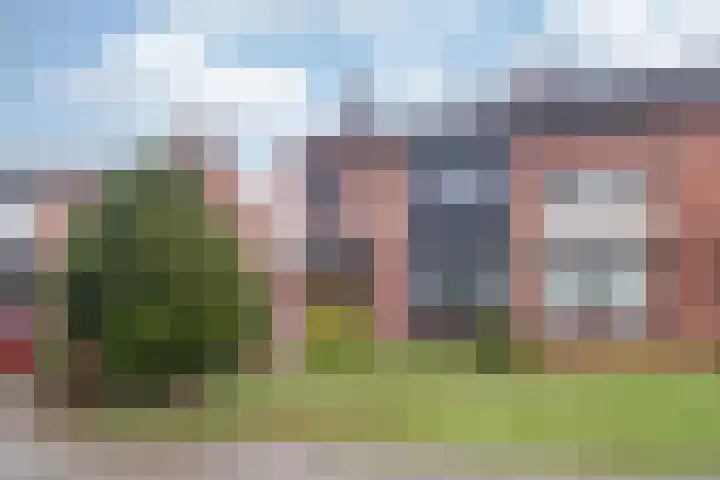Heerstraat Centrum 228 Stein thumbnail 4