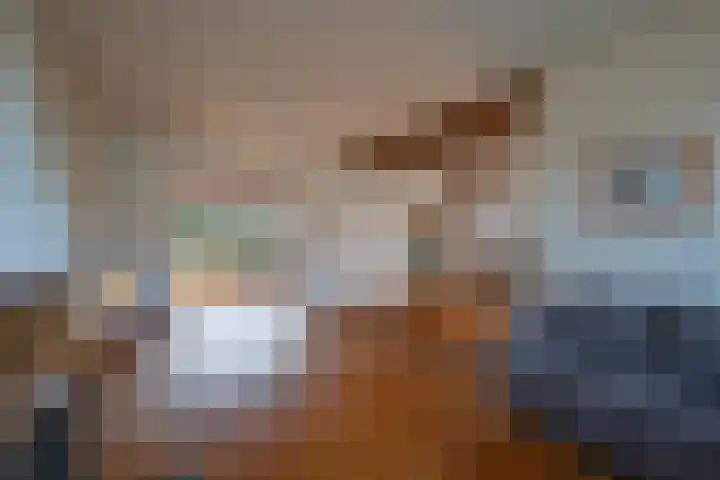 Heerstraat Zuid 43 Stein thumbnail 5