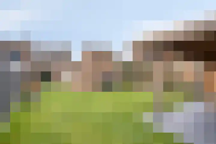 Heerstraat Zuid 63 Stein thumbnail 7