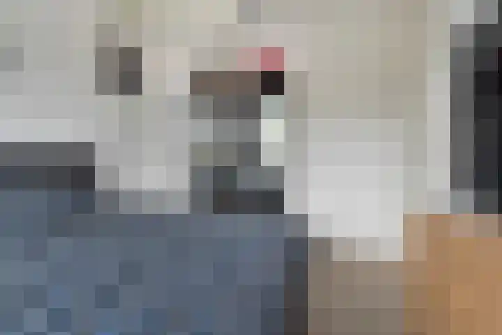 Heerweg 13 Tuk thumbnail 17