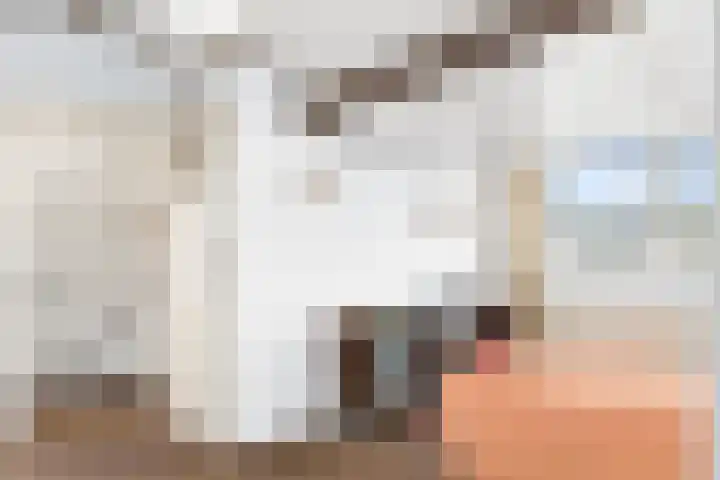 Heesackers 16 Zevenaar thumbnail 20
