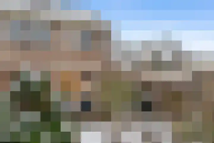 Heesackers 16 Zevenaar thumbnail 28