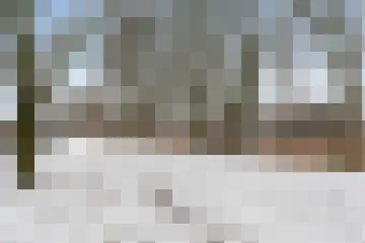Heesackers 16 Zevenaar thumbnail 35
