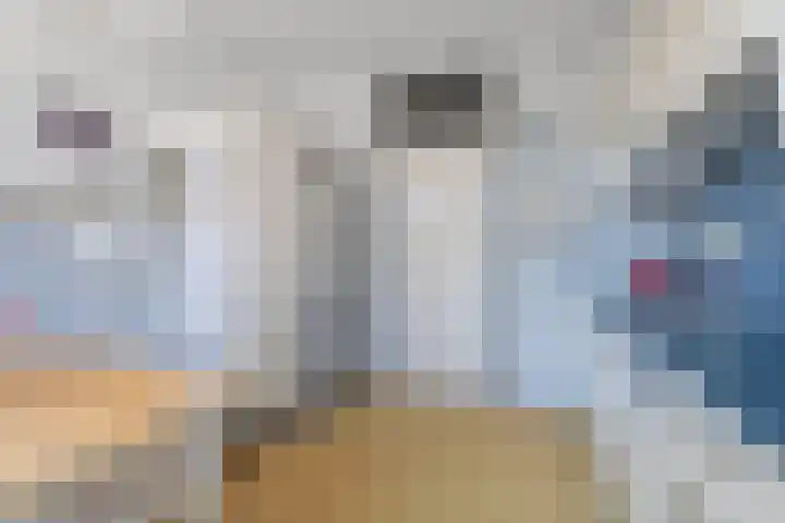 Heesackers 20 Zevenaar thumbnail 15