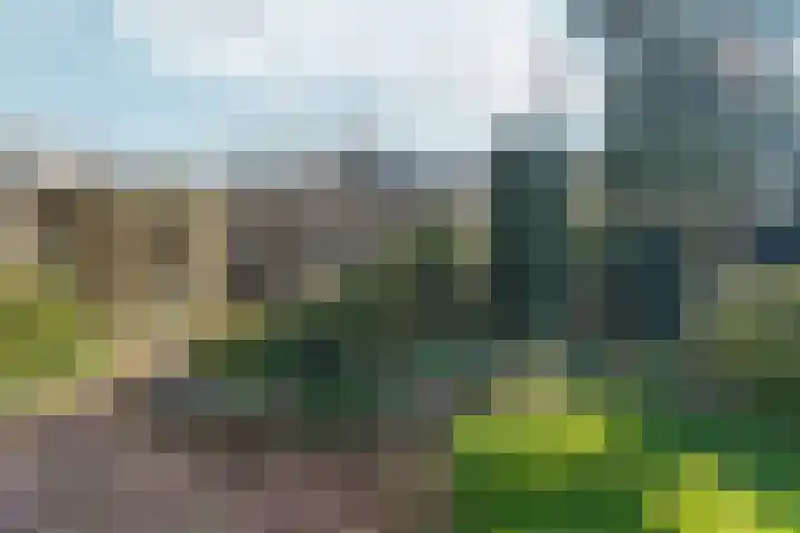Heesackers 20 Zevenaar thumbnail 33