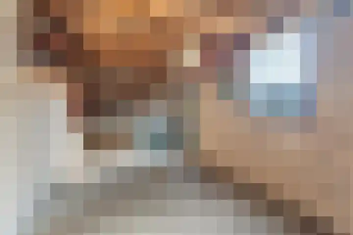 Heesackers 20 Zevenaar thumbnail 37