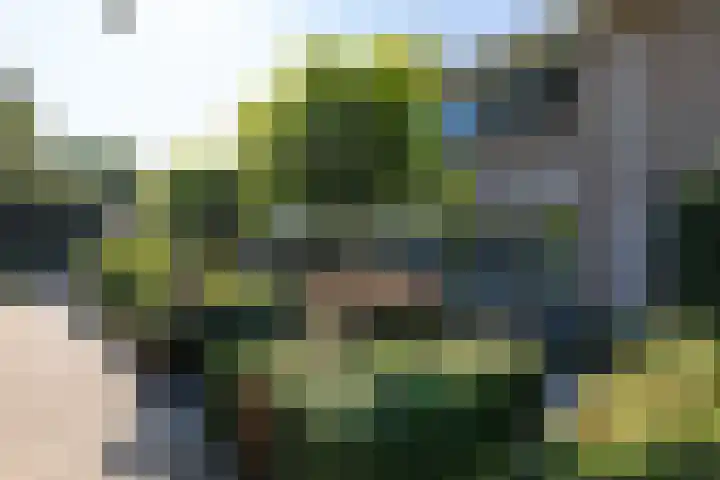 Heesackers 3 Zevenaar thumbnail 10