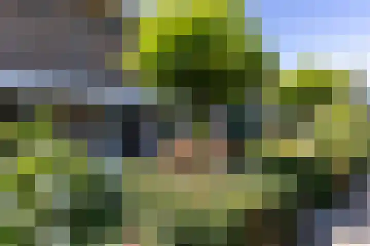 Heesackers 3 Zevenaar thumbnail 11