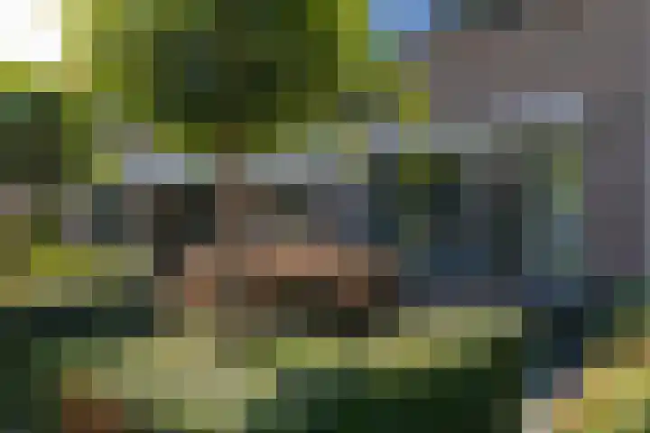 Heesackers 3 Zevenaar thumbnail 12