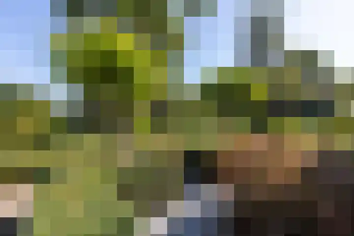 Heesackers 3 Zevenaar thumbnail 13