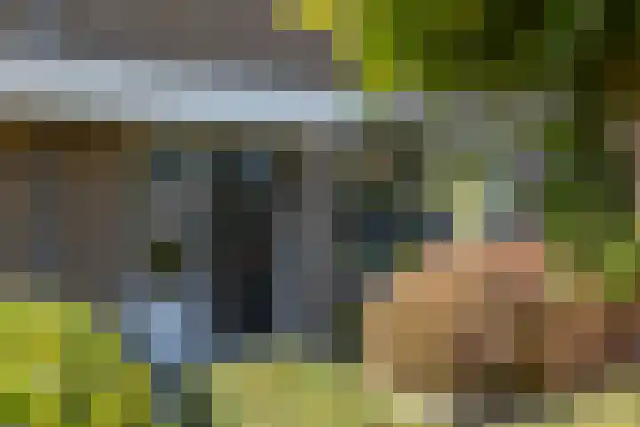 Heesackers 3 Zevenaar thumbnail 14