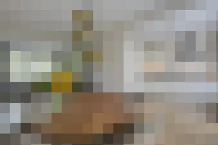 Heesackers 3 Zevenaar thumbnail 20