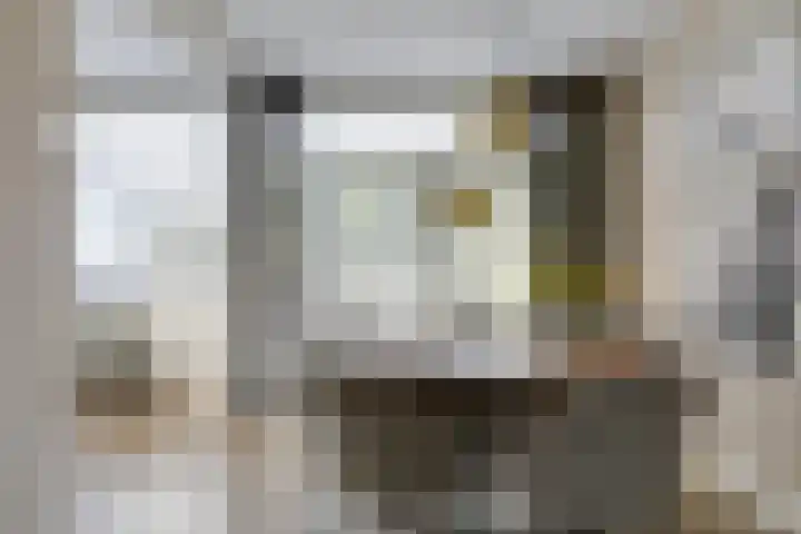 Heesackers 3 Zevenaar thumbnail 22