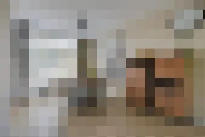 Heesackers 3 Zevenaar thumbnail 23