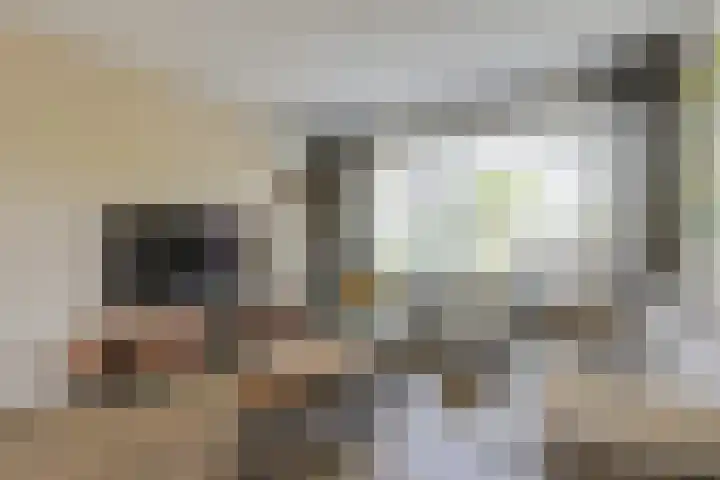 Heesackers 3 Zevenaar thumbnail 26