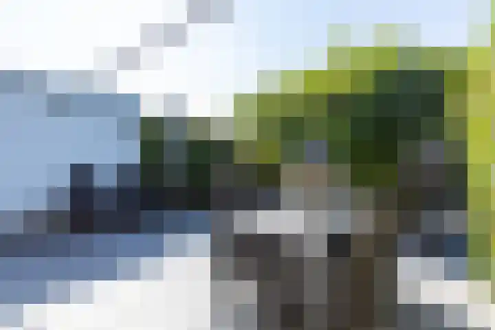 Heesackers 3 Zevenaar thumbnail 29