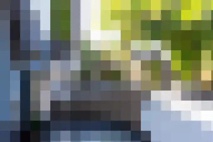 Heesackers 3 Zevenaar thumbnail 30