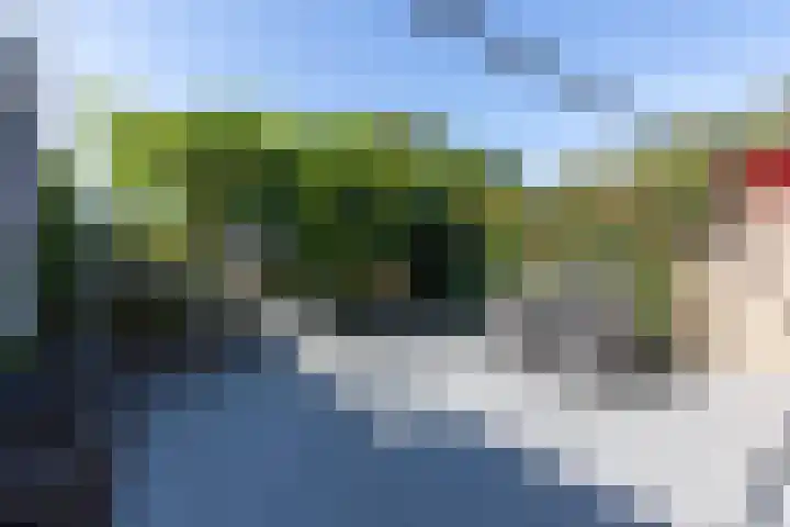 Heesackers 3 Zevenaar thumbnail 31