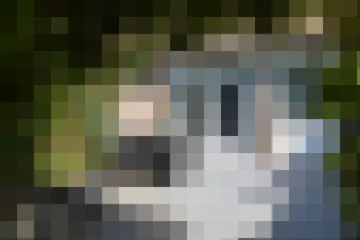 Heesackers 3 Zevenaar thumbnail 34