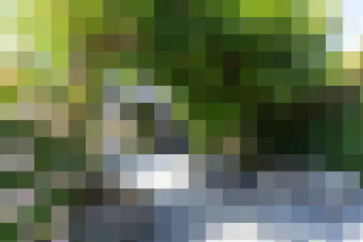 Heesackers 3 Zevenaar thumbnail 35