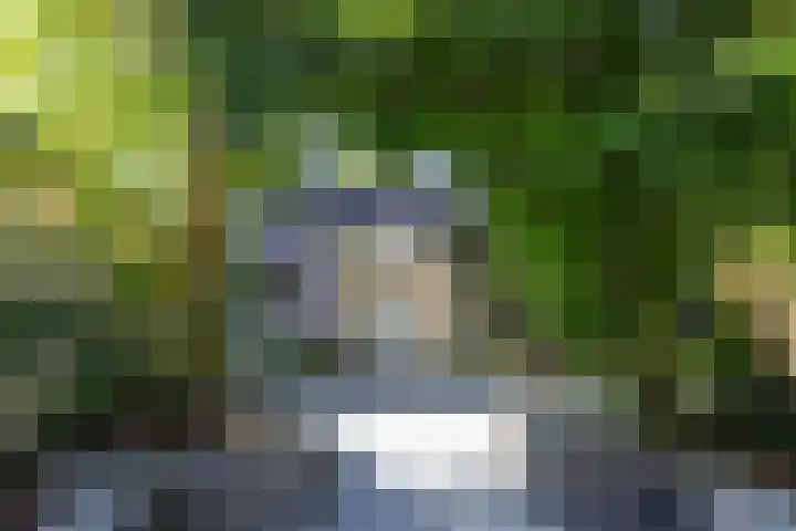 Heesackers 3 Zevenaar thumbnail 36