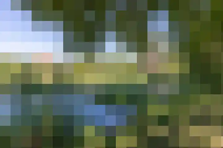Heesackers 3 Zevenaar thumbnail 56
