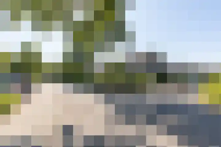 Heesackers 3 Zevenaar thumbnail 8
