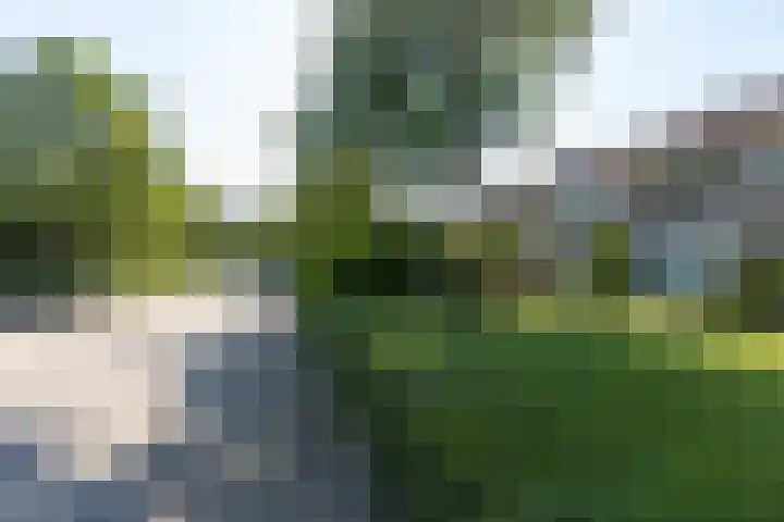 Heesackers 3 Zevenaar thumbnail 9