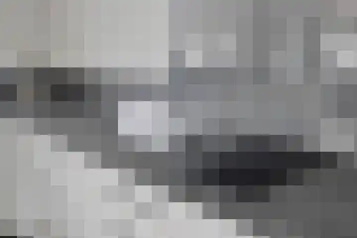 Heesakker 3 Erp thumbnail 13