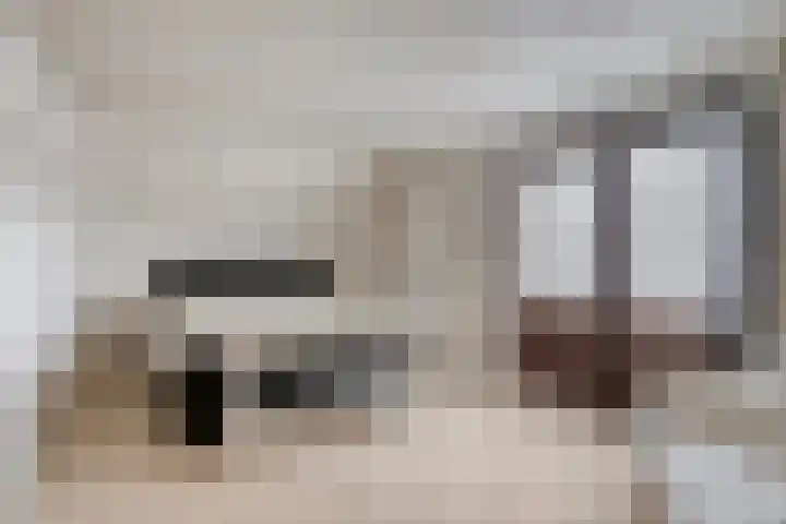 Heesakker 3 Erp thumbnail 18