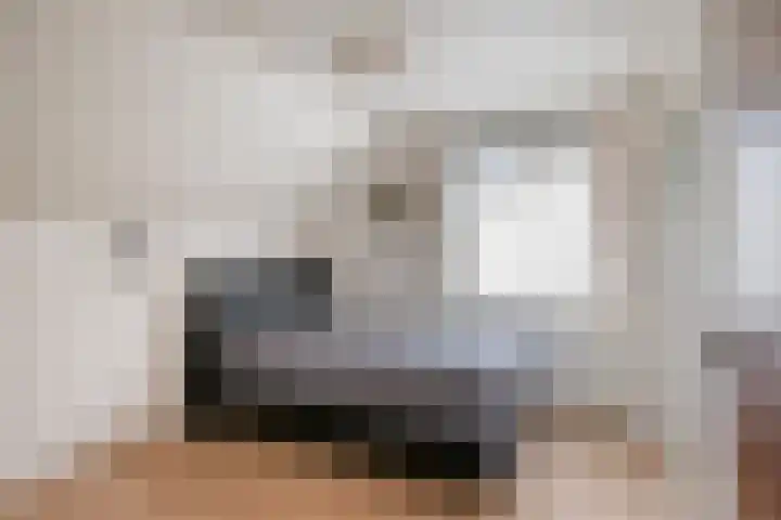 Heesakker 3 Erp thumbnail 22