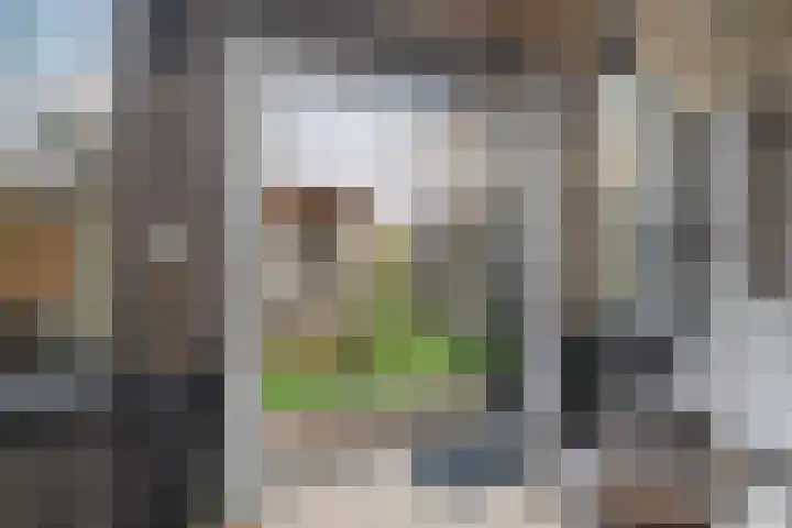 Heeskesacker 1244 Nijmegen thumbnail 15