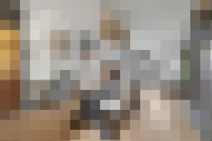 Heeskesacker 1244 Nijmegen thumbnail 17