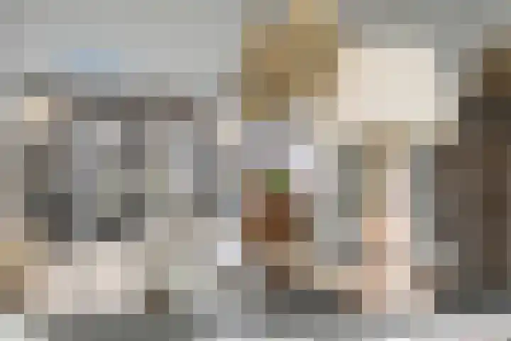 Heeskesacker 1244 Nijmegen thumbnail 19