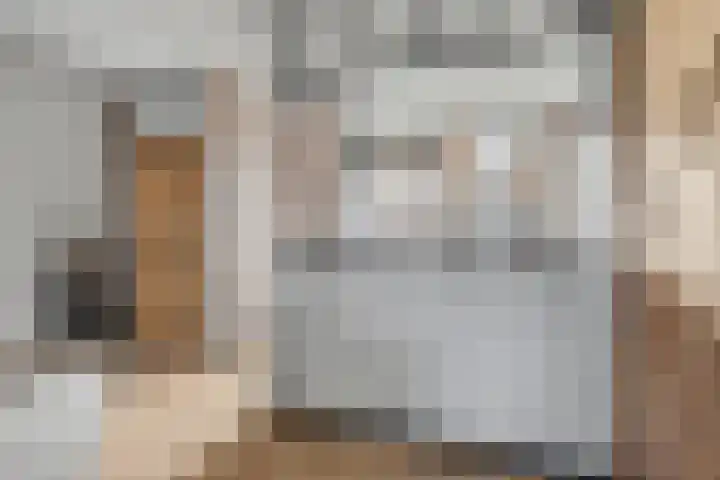 Heeskesacker 1244 Nijmegen thumbnail 24