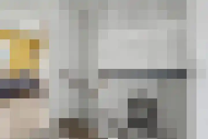 Heeskesacker 1244 Nijmegen thumbnail 27