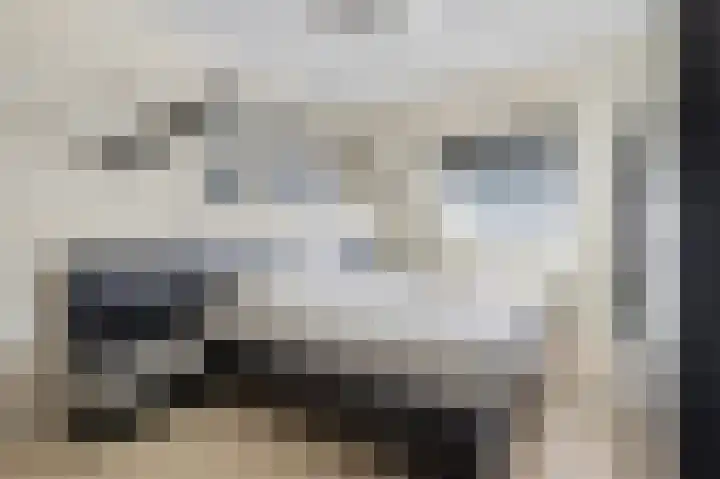 Heeskesacker 1244 Nijmegen thumbnail 29