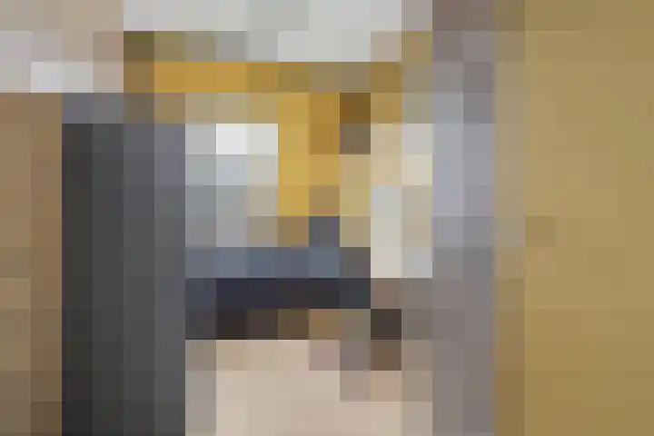Heeskesacker 1244 Nijmegen thumbnail 35