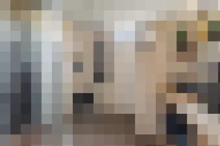 Heeskesacker 1244 Nijmegen thumbnail 37