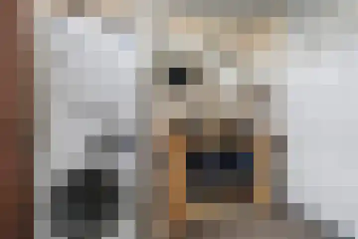 Heeskesacker 1244 Nijmegen thumbnail 39