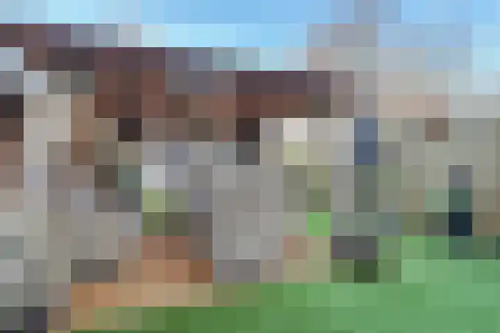 Heeskesacker 1244 Nijmegen thumbnail 44