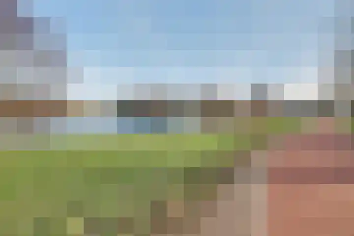 Heeskesacker 1244 Nijmegen thumbnail 50