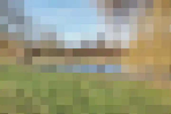 Heeskesacker 1244 Nijmegen thumbnail 51