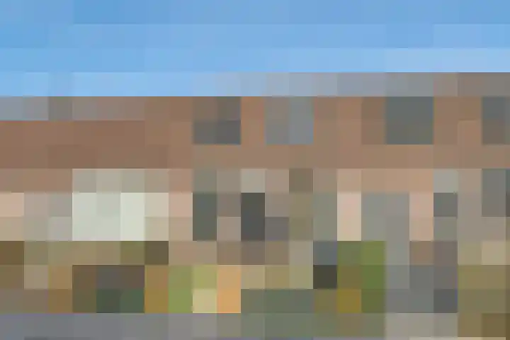 Heeskesacker 1244 Nijmegen thumbnail 55
