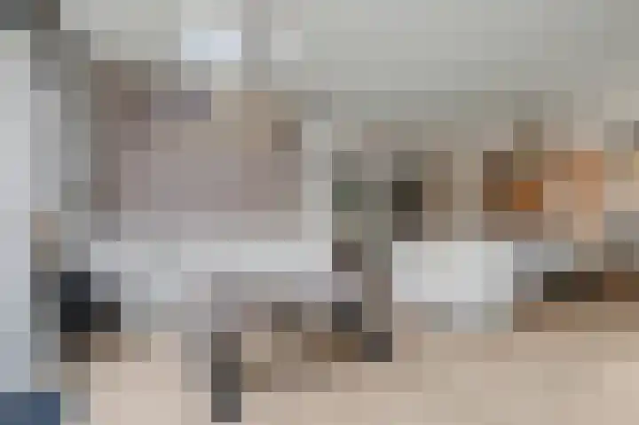 Heeskesacker 1244 Nijmegen thumbnail 7